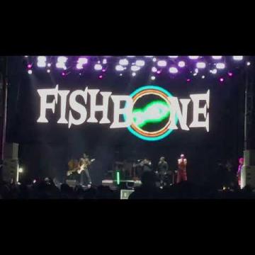 Preview image for the video "2024-06-08 Fishbone @ Pomona Fairplex - Pomona - CA United States (video-21470)".