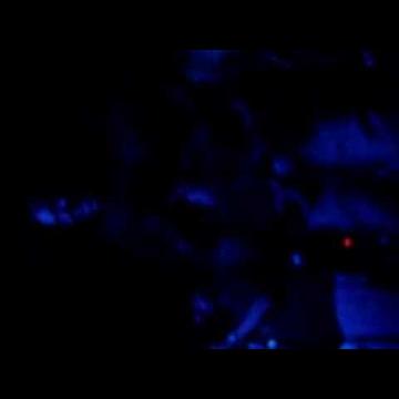 Preview image for the video "2006-10-24 Fishbone @ Mephisto - Poble Nou - Barcelona - Spain (video-1896)".