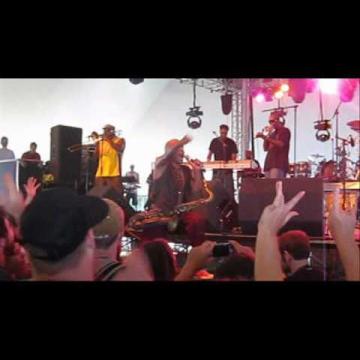 Preview image for the video "2010-06-05 Fishbone @ Wakarusa Festival - Ozark - AR United States (video-2125)".