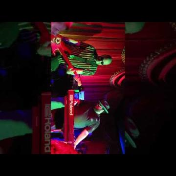 Preview image for the video "2020-01-12 Fishbone @ Alex's Bar - Long Beach - CA United States (video-3082)".