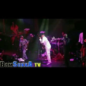 Preview image for the video "2014-12-19 Fishbone @ Troubadour - West Hollywood - CA United States (video-2784)".