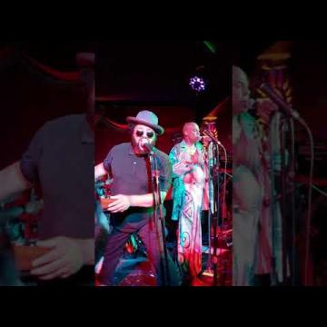 Preview image for the video "2020-01-12 Fishbone @ Alex's Bar - Long Beach - CA United States (video-3078)".