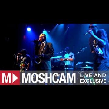 Preview image for the video "2012-03-23 Fishbone @ Independent - San Francisco - CA United States (video-2735)".