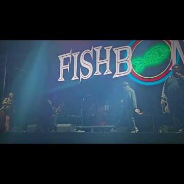 Preview image for the video "2024-06-08 Fishbone @ Pomona Fairplex - Pomona - CA United States (video-21474)".