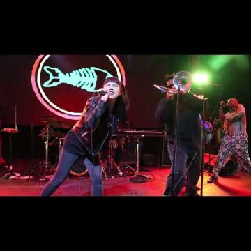 Preview image for the video "2024-12-20 Fishbone @ Garden Amp - Garden Grove - CA United States (video-21652)".