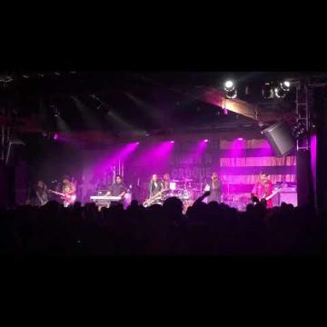 Preview image for the video "2019-08-08 Fishbone @ Showbox - Seattle - WA United States (video-3060)".