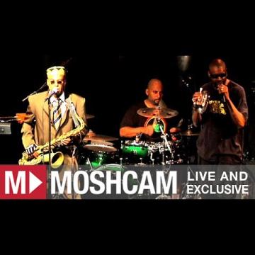 Preview image for the video "2012-03-23 Fishbone @ Independent - San Francisco - CA United States (video-2736)".