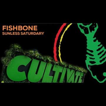 Preview image for the video "2023-08-27 Fishbone @ The Nursery - Chicago - IL United States (video-20756)".