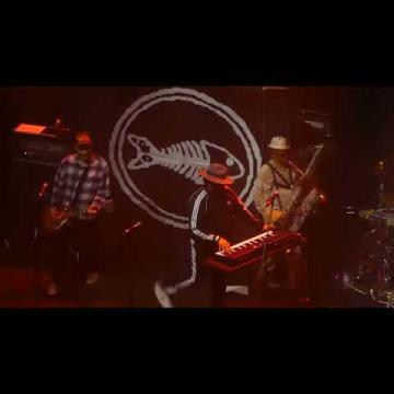 Preview image for the video "2023-11-24 Fishbone @ The Novo DTLA - Los Angeles - CA United States (video-20896)".