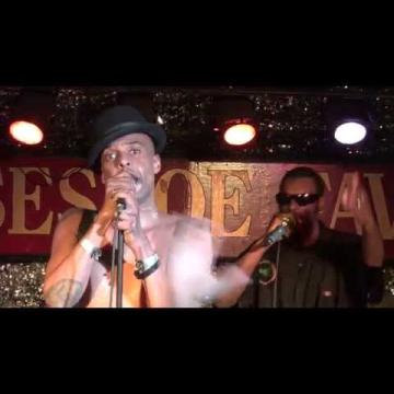 Preview image for the video "2015-09-17 Fishbone @ Horseshoe Tavern - Toronto - ON Canada (video-2872)".