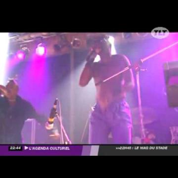 Preview image for the video "1993-09-23 Fishbone @ Bikini - Toulouse - France (video-2045)".