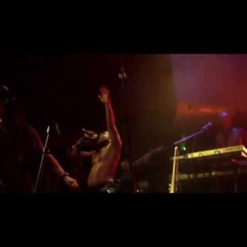 Preview image for the video "2014-05-18 Fishbone @ Le Petit Bain - Paris - France (video-2607)".