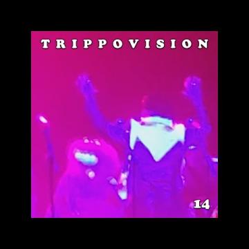 Preview image for the video "2019-08-22 Fishbone @ H-E-B Center - Cedar Park - TX United States (video-21750)".