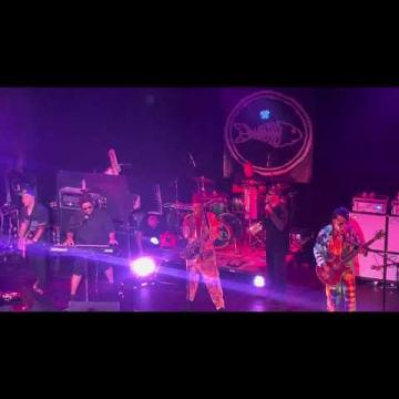 Preview image for the video "2023-08-16 Fishbone @ State Theatre - Falls Church - VA United States (video-20552)".