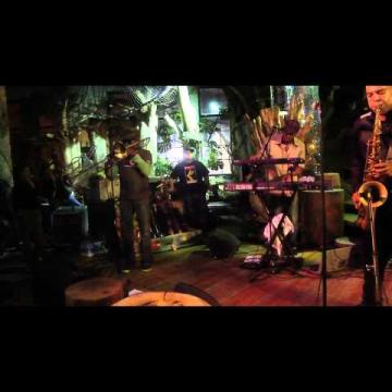 Preview image for the video "2011-03-14 Fishbone @ City Museum - St Louis - MO United States (video-2227)".