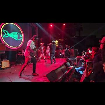 Preview image for the video "2024-12-20 Fishbone @ Garden Amp - Garden Grove - CA United States (video-21665)".