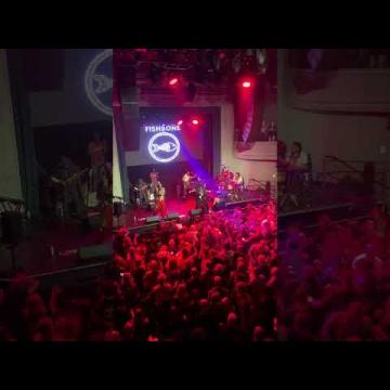 Preview image for the video "2026-04-09 Fishbone @ August Hall - San Francisco - CA United States (video-22301)".