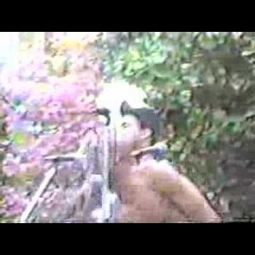 Preview image for the video "1989-04-22 Fishbone @ Southern Illinois University - Carbondale - IL United States (video-2751)".