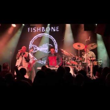 Preview image for the video "2026-09-21 Fishbone @ The Gov - Adelaide - SA Australia (video-22509)".