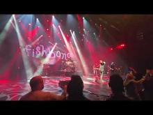 Preview image for the video "2025-09-27 Fishbone @ Westgate - Las Vegas - NV United States (video-22091)". Preview image for the video "2025-09-27 Fishbone @ Westgate - Las Vegas - NV United States (video-22091)".