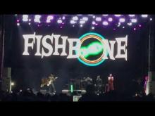 Preview image for the video "2024-06-08 Fishbone @ Pomona Fairplex - Pomona - CA United States (video-21470)".