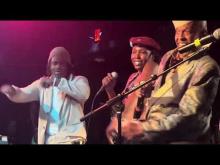 Preview image for the video "2026-04-28 Fishbone @ Black Cat - Washington - DC United States (video-22370)".