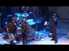 Preview image for the video "2019-08-03 Fishbone @ The Mountain Winery - Saratoga - CA United States (video-3056)".