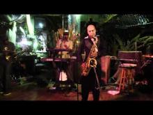 Preview image for the video "2011-03-14 Fishbone @ City Museum - St Louis - MO United States (video-2223)".