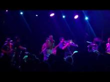 Preview image for the video "2025-07-01 Fishbone @ Waiting Room Lounge - Omaha - NE United States (video-22072)".