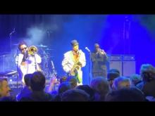Preview image for the video "2022-12-17 Fishbone @ Garden Amp - Garden Grove - CA United States (video-20633)".