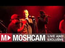 Preview image for the video "2012-03-23 Fishbone @ Independent - San Francisco - CA United States (video-2729)".