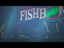 Preview image for the video "2024-06-08 Fishbone @ Pomona Fairplex - Pomona - CA United States (video-21474)".
