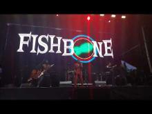 Preview image for the video "2024-06-08 Fishbone @ Pomona Fairplex - Pomona - CA United States (video-21469)".