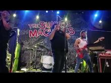 Preview image for the video "2025-06-25 Fishbone @ Metro - Chicago - IL United States (video-22022)".