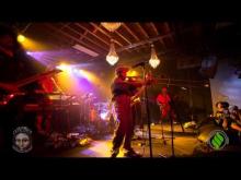 Preview image for the video "2015-01-16 Fishbone @ Cervantes - Denver - CO United States (video-2767)".