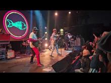 Preview image for the video "2024-12-20 Fishbone @ Garden Amp - Garden Grove - CA United States (video-21664)".