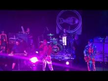 Preview image for the video "2023-08-16 Fishbone @ State Theatre - Falls Church - VA United States (video-20555)".