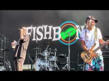 Preview image for the video "2021-09-17 Fishbone @ Riot Fest & Carnival - Chicago - IL United States (video-21999)". Preview image for the video "2021-09-17 Fishbone @ Riot Fest & Carnival - Chicago - IL United States (video-21999)".