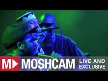 Preview image for the video "2012-03-23 Fishbone @ Independent - San Francisco - CA United States (video-2738)".