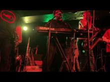 Preview image for the video "2025-05-11 Fishbone @ Underworld - London - United Kingdom (video-21937)".