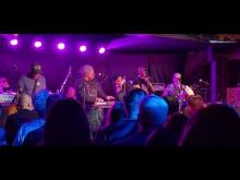 Preview image for the video "2023-05-18 Fishbone @ Fulton 55 - Fresno - CA United States (video-20025)".