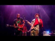 Preview image for the video "2019-08-15 Fishbone @ The Mission Ballroom - Denver - CO United States (video-3063)".