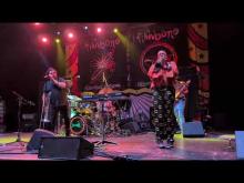 Preview image for the video "2025-07-30 Fishbone @ The Observatory North Park - San Diego - CA United States (video-22039)".