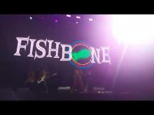 Preview image for the video "2024-06-08 Fishbone @ Pomona Fairplex - Pomona - CA United States (video-21468)".