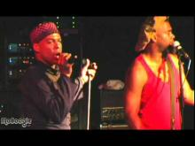 Preview image for the video "2008-11-19 Fishbone @ Cervantes - Denver - CO United States (video-1976)".