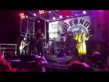 Preview image for the video "2023-09-15 Fishbone @ Patton Street Park - Fort Monroe - VA United States (video-20746)".