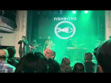 Preview image for the video "2026-04-09 Fishbone @ August Hall - San Francisco - CA United States (video-22284)".