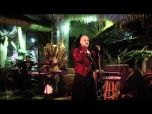 Preview image for the video "2011-03-14 Fishbone @ City Museum - St Louis - MO United States (video-2224)".