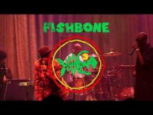 Preview image for the video "2018-12-20 Fishbone @ Regent Theater - Los Angeles - CA United States (video-3098)". Preview image for the video "2018-12-20 Fishbone @ Regent Theater - Los Angeles - CA United States (video-3098)".