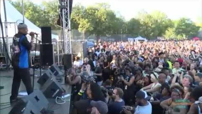 Preview image for the video "2014-08-24 Fishbone @ Afro-Punk Festival - Brooklyn - NY United States (video-2673)".